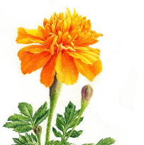 2026.03.06 ~ 2026.05.22