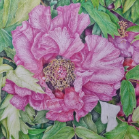 2026.03.05 ~ 2026.05.21