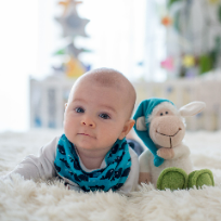 [정규특강]프리미엄 오감놀이 리틀 자이언트 & 베이비 마사지-동물농장 친구들:농장에 사는 동물 친구들을 만나러 가요!(병아리콩)※특강주제는 변경될 수 있습니다 