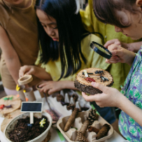 3/15 찾아가는 곤충체험: 애벌레집 만들기(만5~9세)