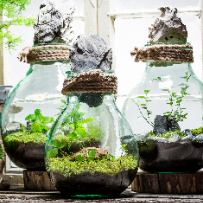 소소한 힐링, 초록 미니정원 산소가득 테라리움