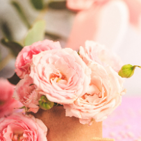 발렌타인 사랑을 전하는 러블리 테라리움