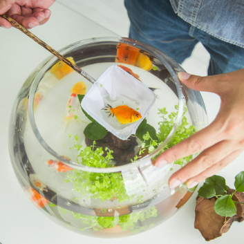 [로비체험] 손끝에서 피어나는 작은바다, 물고기 테라리움