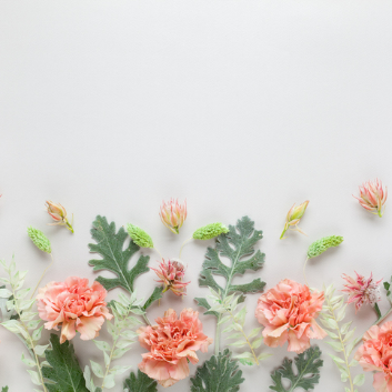 색연필 보태니컬아트 봄을 그리는 튤립꽃