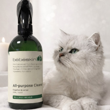 [베베스킨] 오감자연놀이 반짝반짝 똘망이- 녹두왕자 개구리