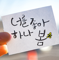 [11주] 붓펜으로 쓰는 먹글씨 캘리그라피 이미지