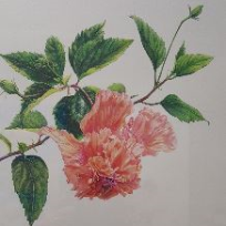 화요 보타니컬 꽃그림  이미지