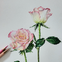 꽃그림 그리기 보타니컬 아트 이미지