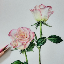 꽃그림 그리기 보타니컬 아트 이미지
