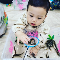 [30%할인] 100% 자연물 오감놀이 아기별 오감플레이 이미지