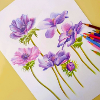 저녁 보타니컬 꽃그림 색연필화 이미지
