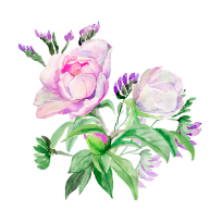 색연필로 그리는 꽃그림, 보태니컬아트 이미지