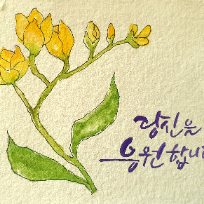 수채 캘리그라피 자격증 이미지