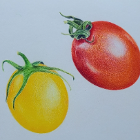 [6/2(화)개강]화요 색연필 꽃그림 보타니컬 아트 이미지