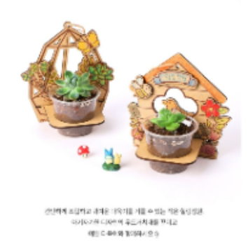 1DAY[6/29]힐링,리빙플라워 : 다육이를 이용한 어렌지먼트 이미지