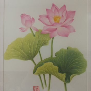 직장인 색연필 보태니컬아트 이미지