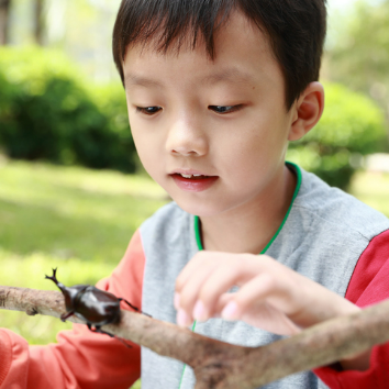1회) [직업체험] 신기하고 작은 세상 - 곤충학자 (만 5세~초2) 6/28 이미지