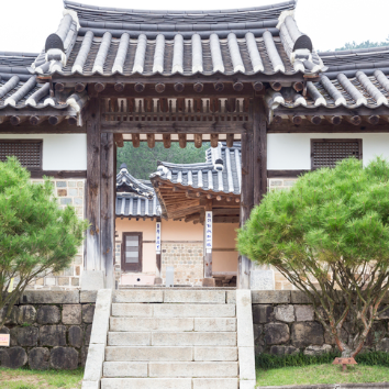 [온라인]여름방학기 기회다! 한국사&한국지리 입문<왕과 사는 남자>영화보다 재미있는 조선 6대 왕 단종, 진짜 이야기 이미지