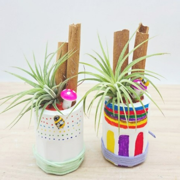 7/11(토) 우리집 작은정원 시나몬스틱&틸란  벌레퇴치 식물 테라리움 미니석고 화분 꾸미기 이미지