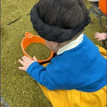두뇌를 깨우는 오감발달 토리톡톡 이미지