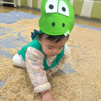 플레이오감 도담베베 ♥해피아워할인 이미지