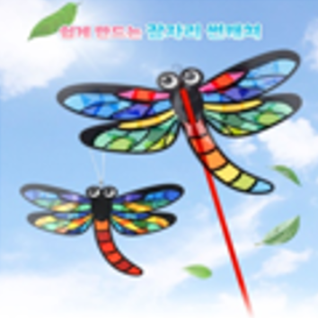 10/24(토)[웅진]잠자리에 대해 알아 보아요 이미지