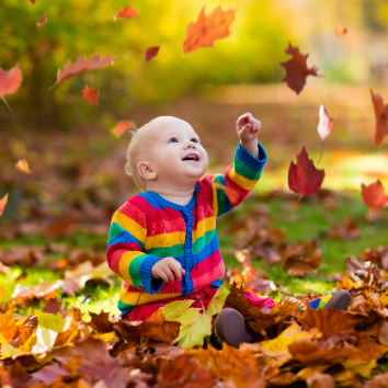 [Autumn Mood : 9월에 스며들다] 낙엽 톡톡! 가을나무 퍼포먼스 알록달록 가을 나무는 무슨 색일까? 이미지