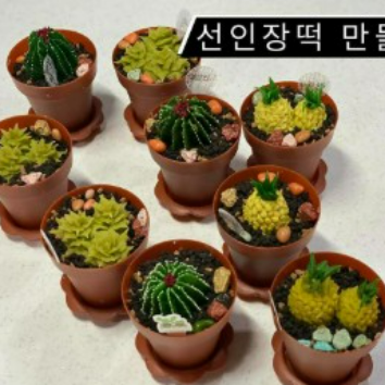 09/29(화)[저녁반]풀 뜯어 먹는 소리! 선인장 화분 떡 with 이태리떡집 이미지