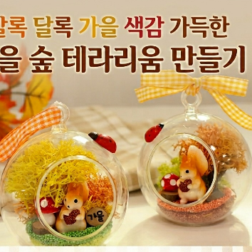 웅진 로비특강 - 가을 다람쥐 테라리움 이미지